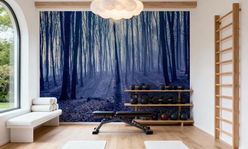 Misty Blue Forest