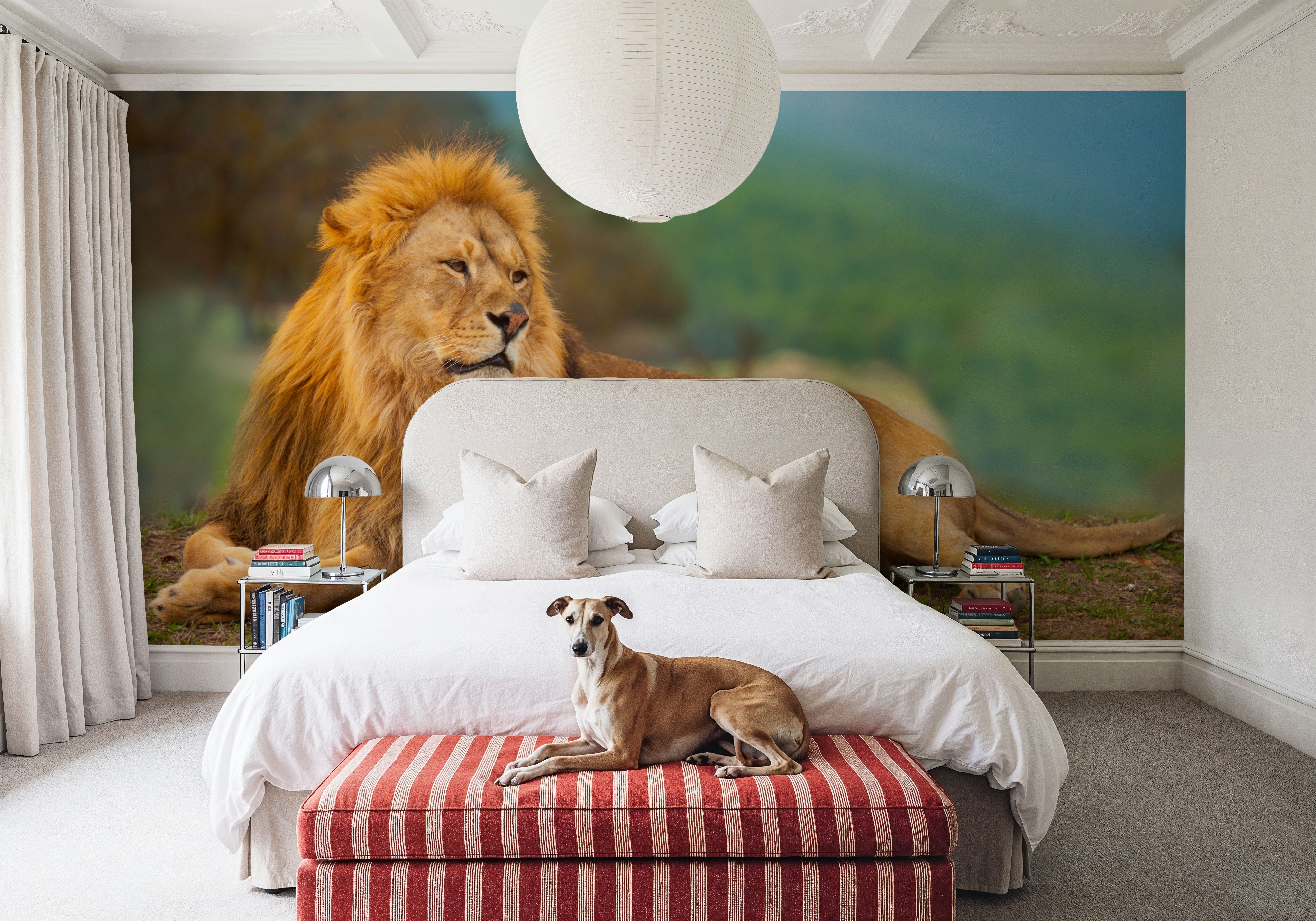 Lion Rest
