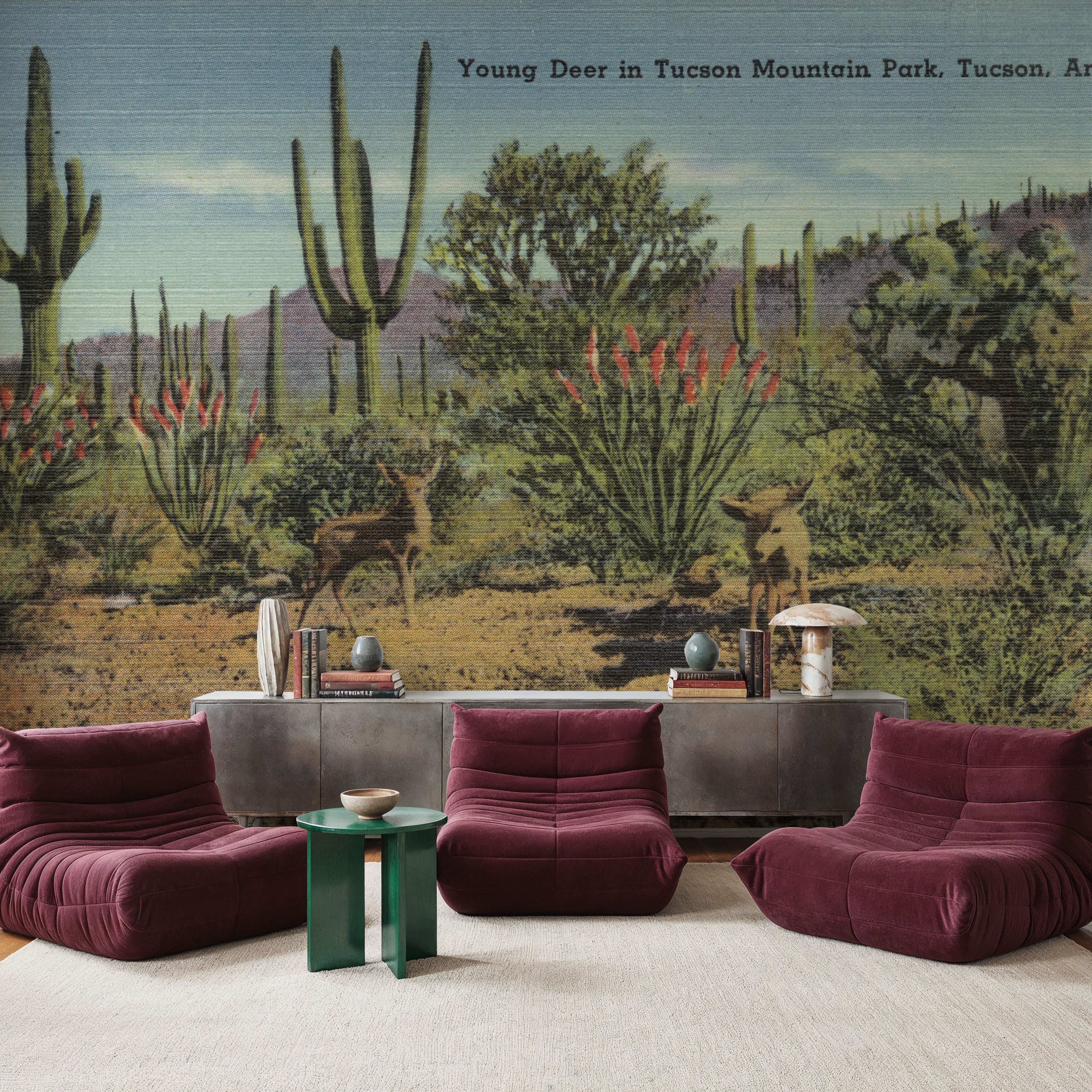 Greetings from Tucson Moutain Park - Screenprint Postcard