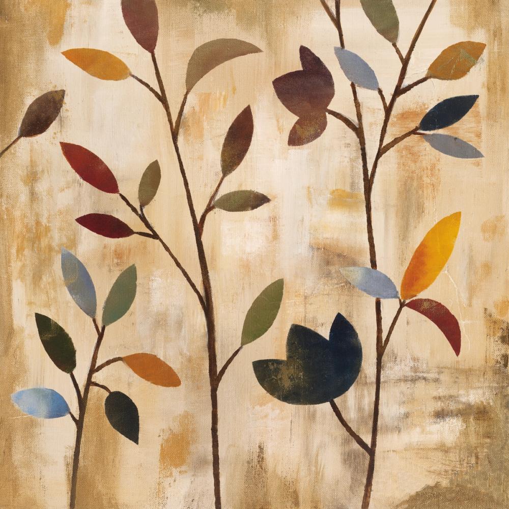 Branches at Sunrise IV