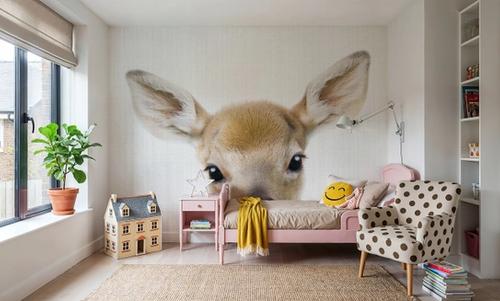 Peekaboo Baby Deer