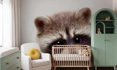 Peekaboo Raccoon