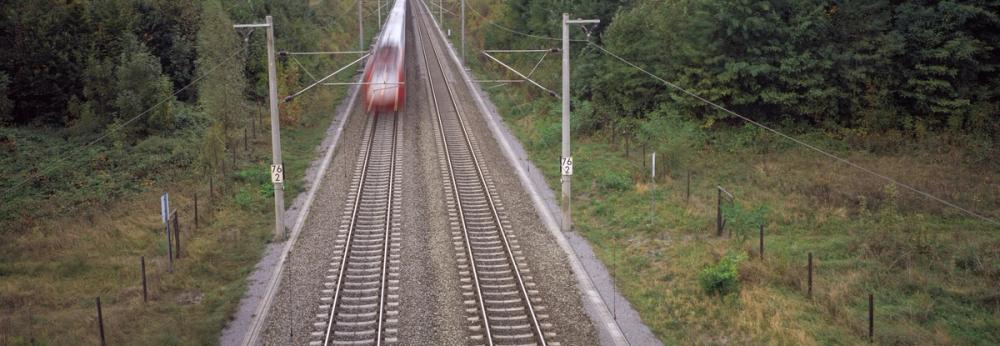 Forest Railway Express