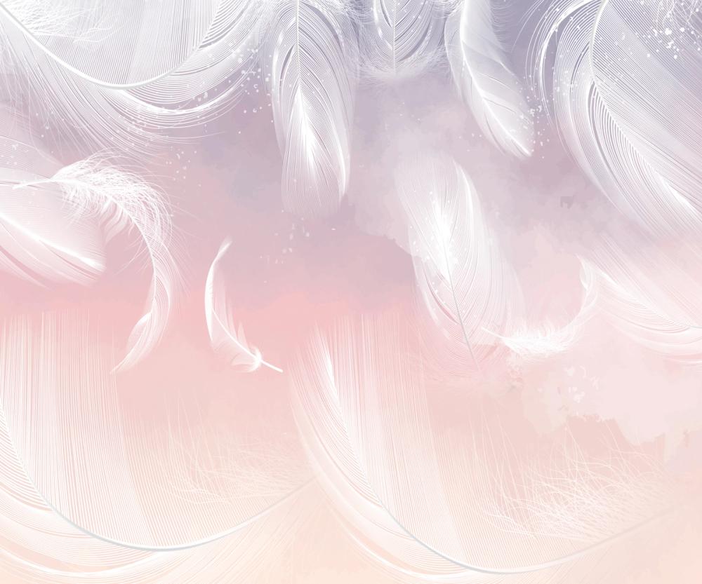 Dreamy Feathers