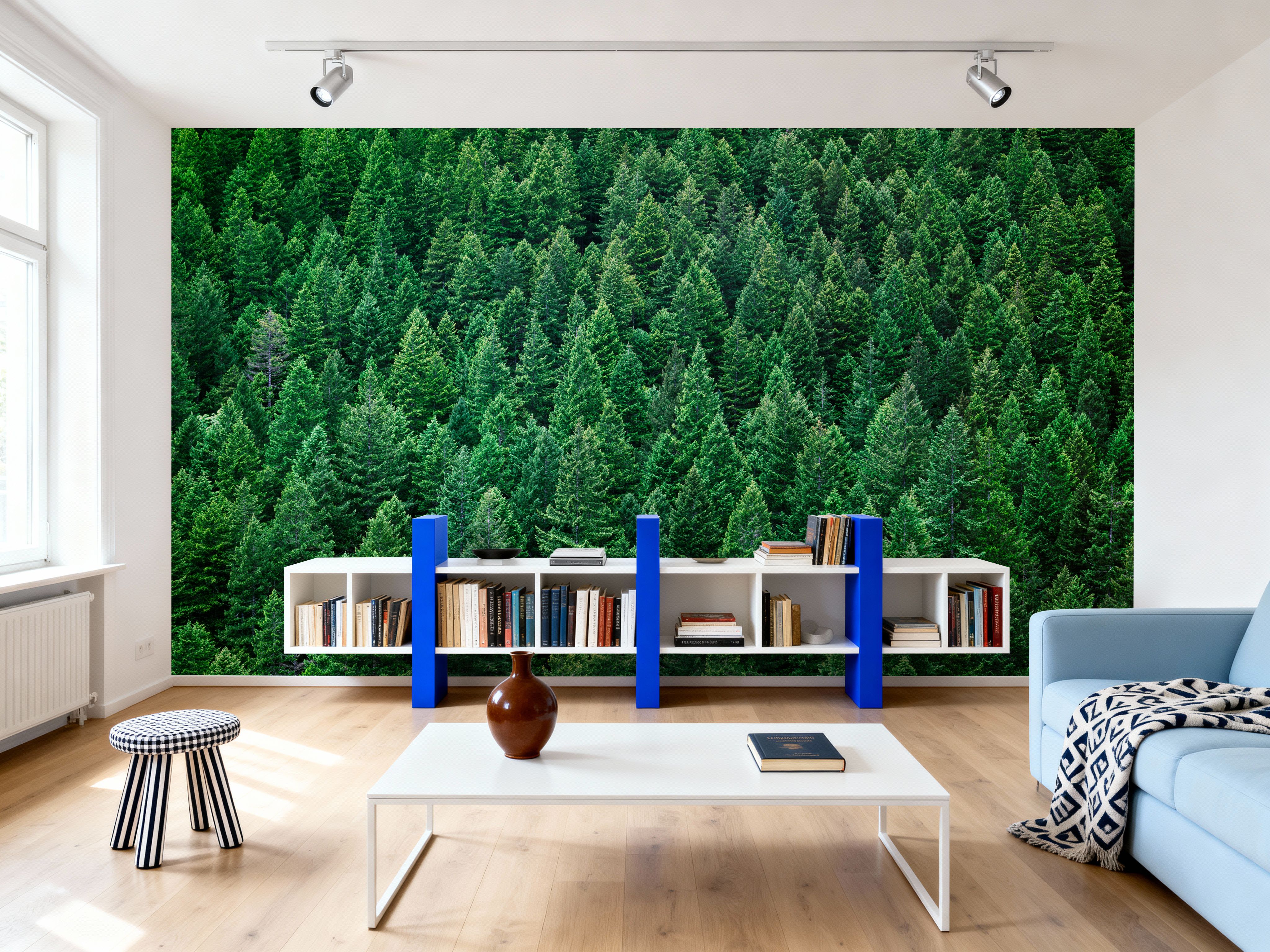 Olympic National Forest, Washington State