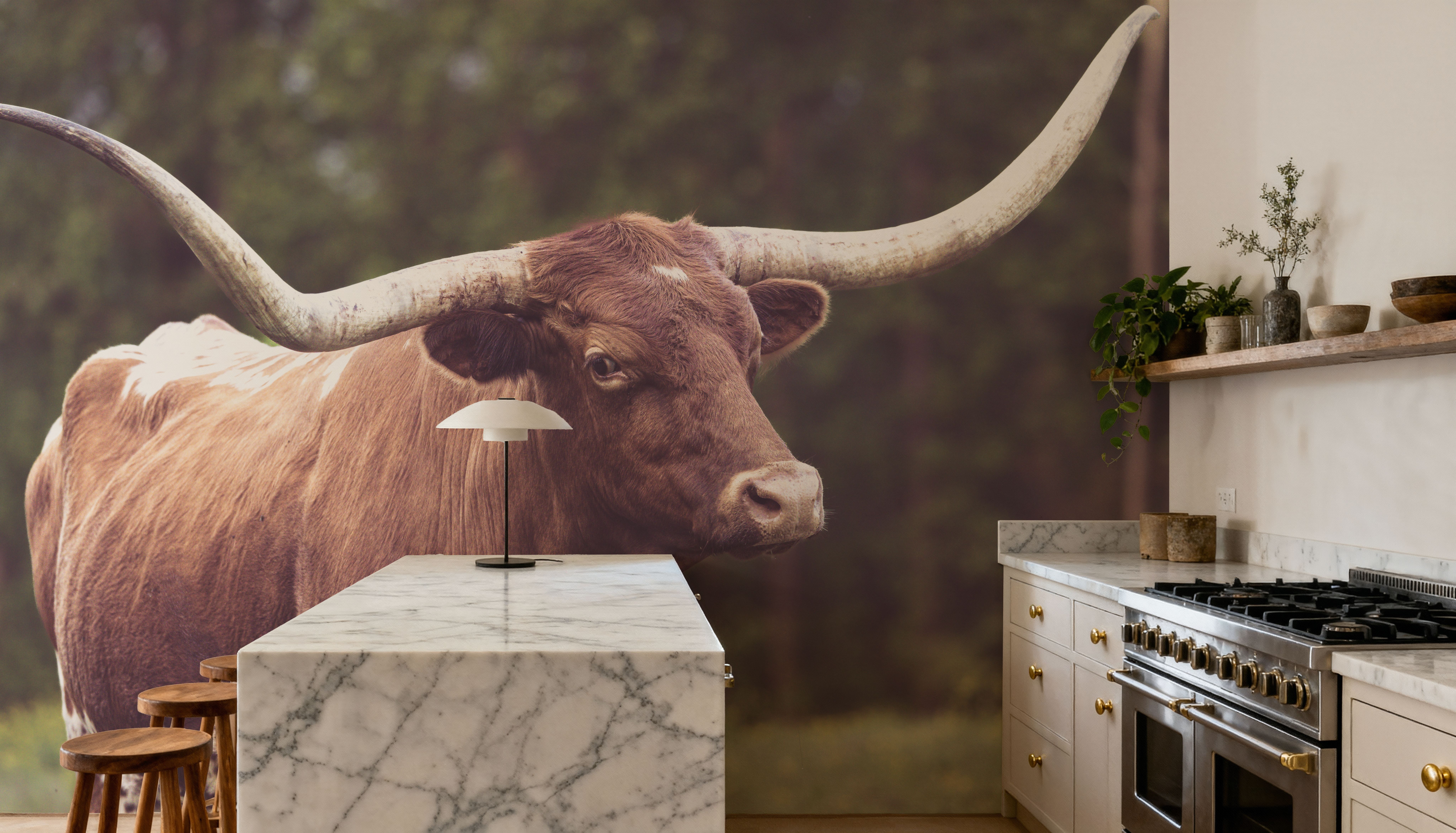 Longhorn Side Eye
