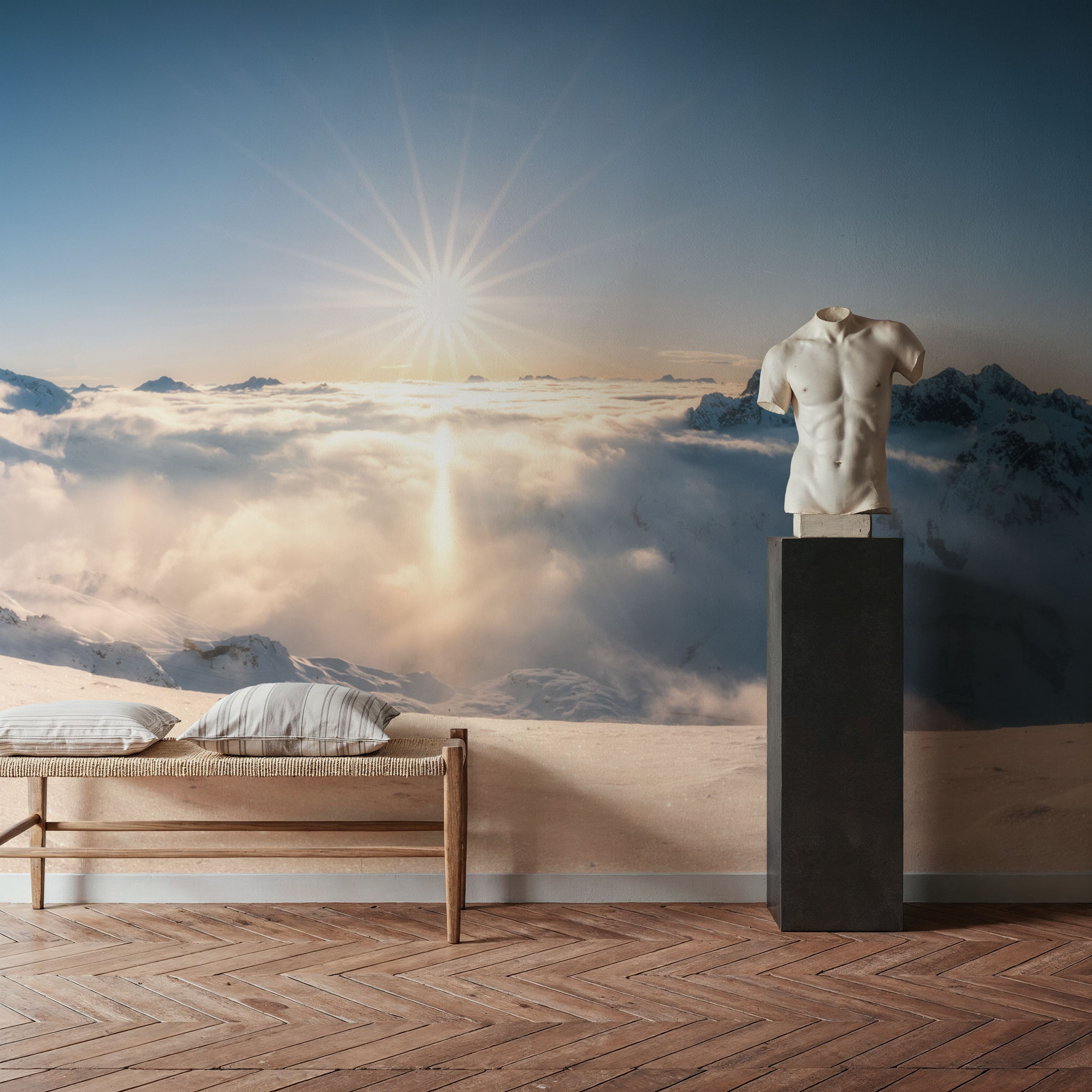 Skiing Panorama
