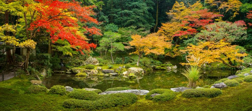 Japanese Garden Colors