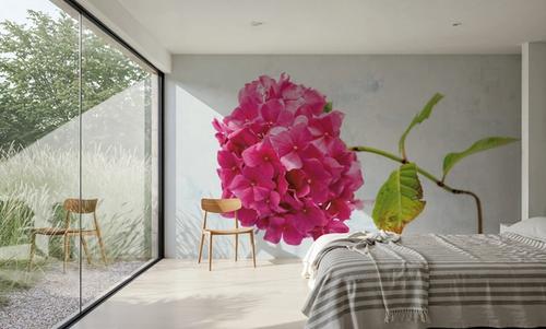Bright Pink Hydrangea