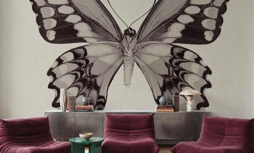 Butterfly VI Gray