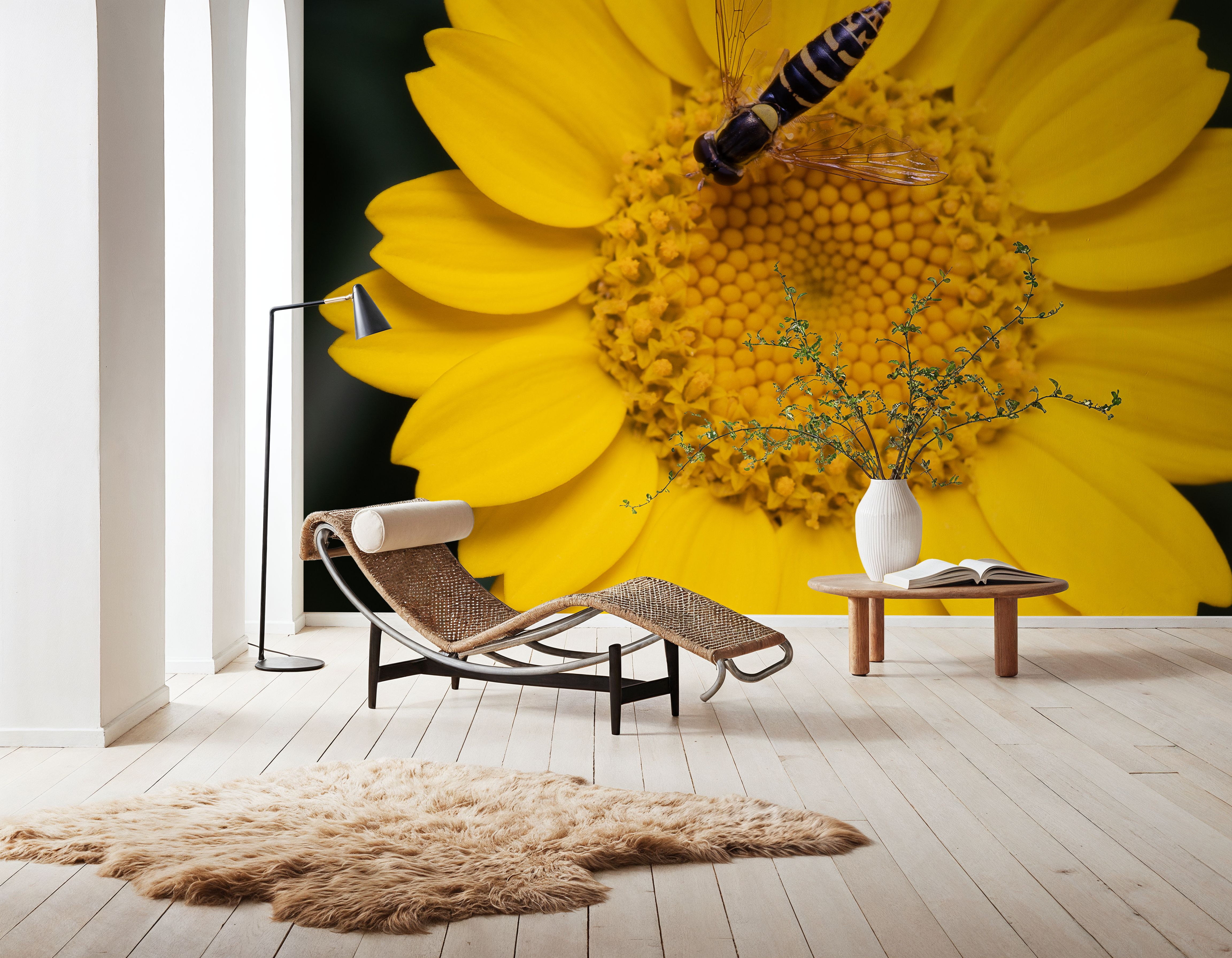 Yellow Attraction