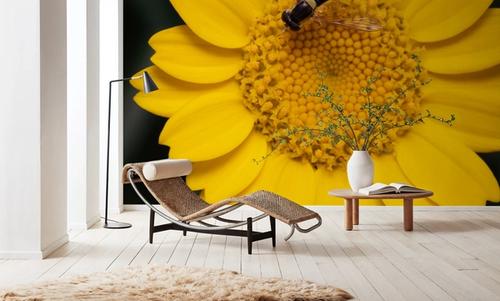 Yellow Attraction