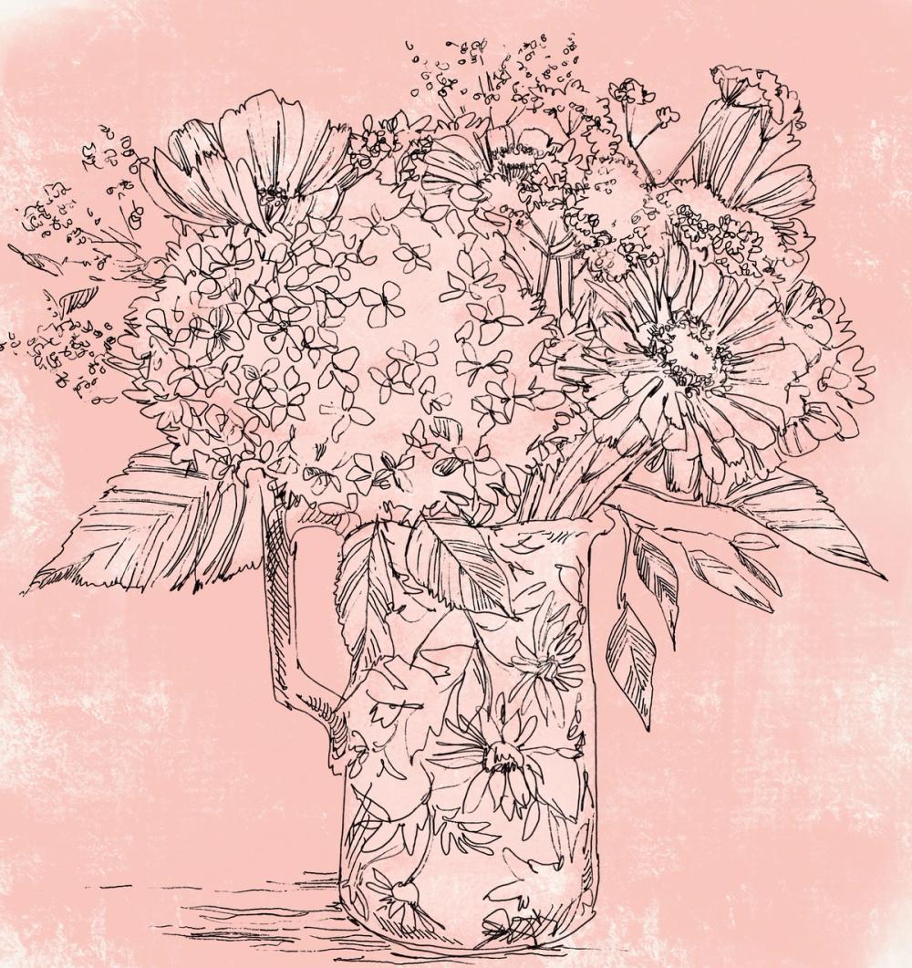Hydrangea in Pitcher Sketch