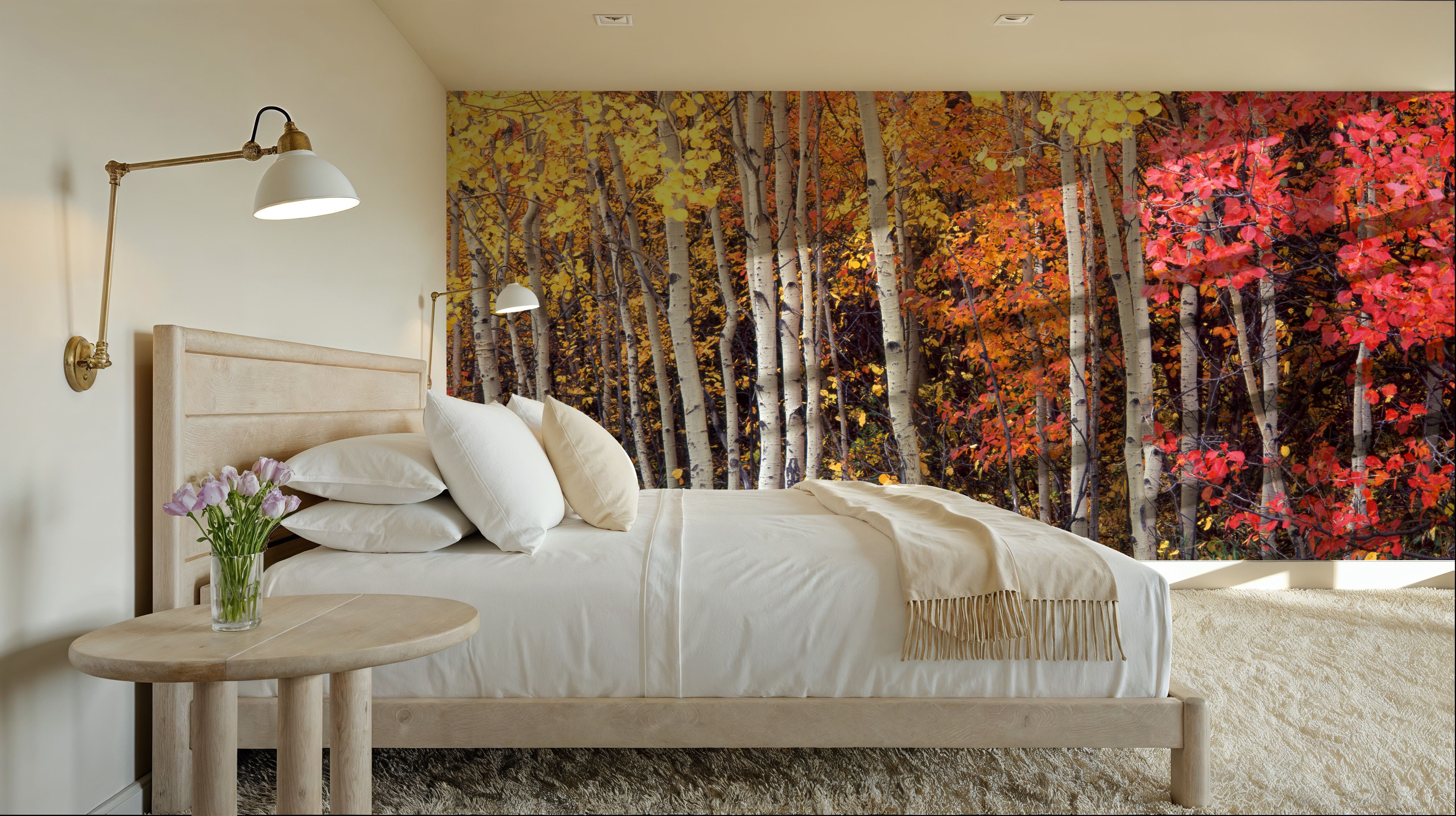 Autumn Aspen Grove