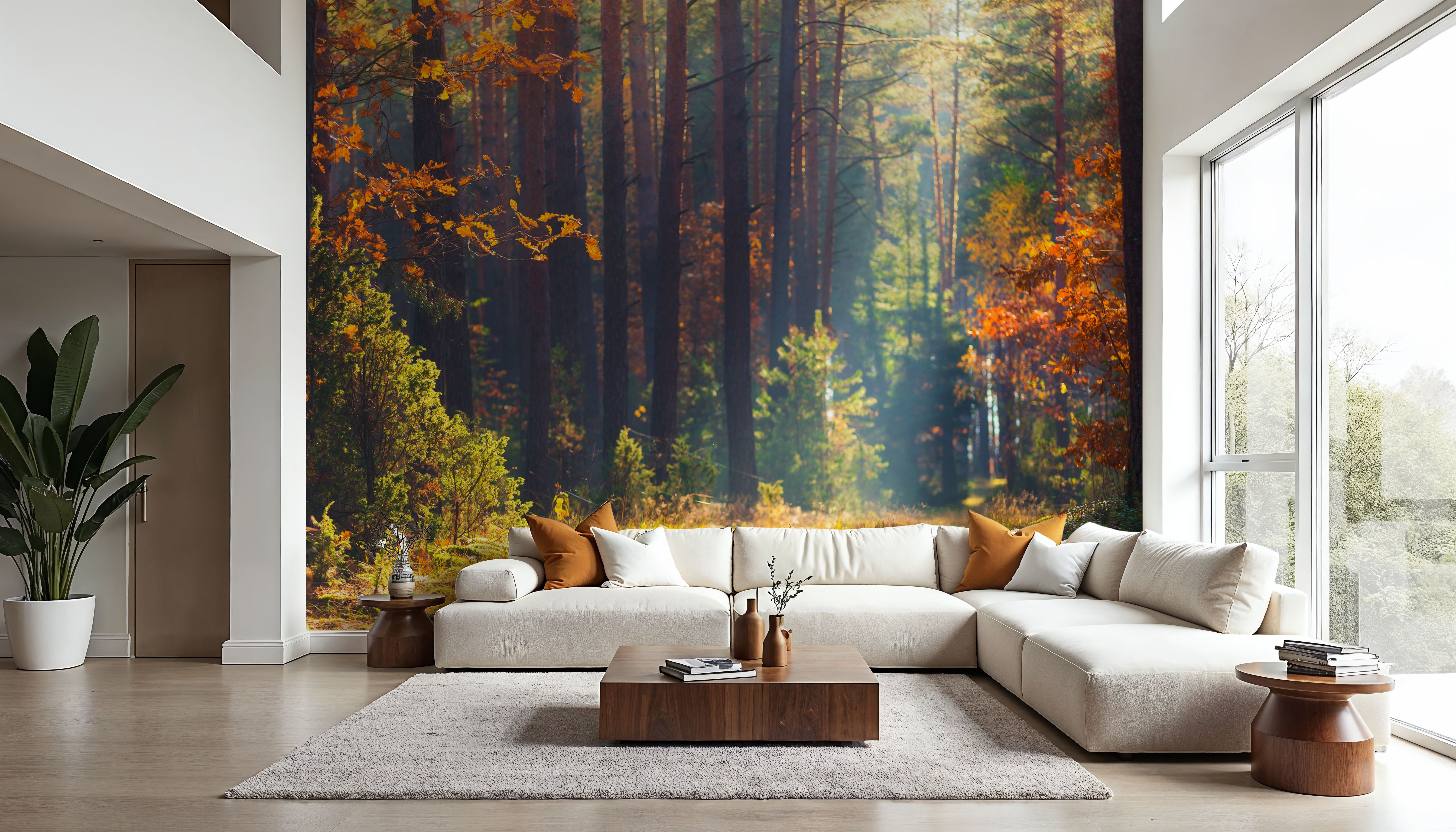 Autumn Forest Morning, Tapeten