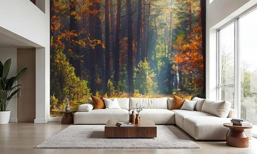 Autumn Forest Morning