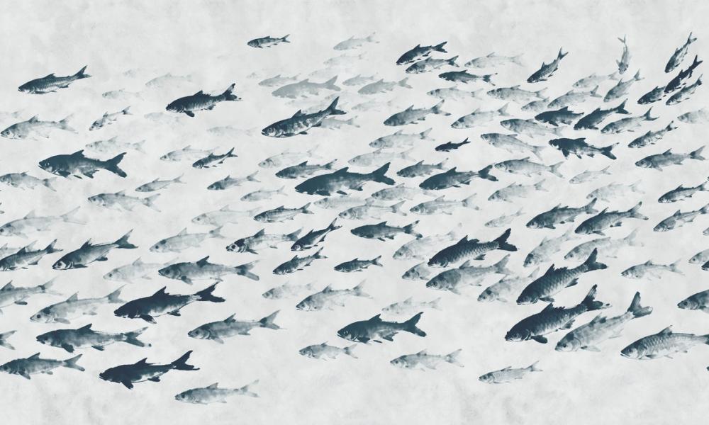 Sumi Current, Ink Blue