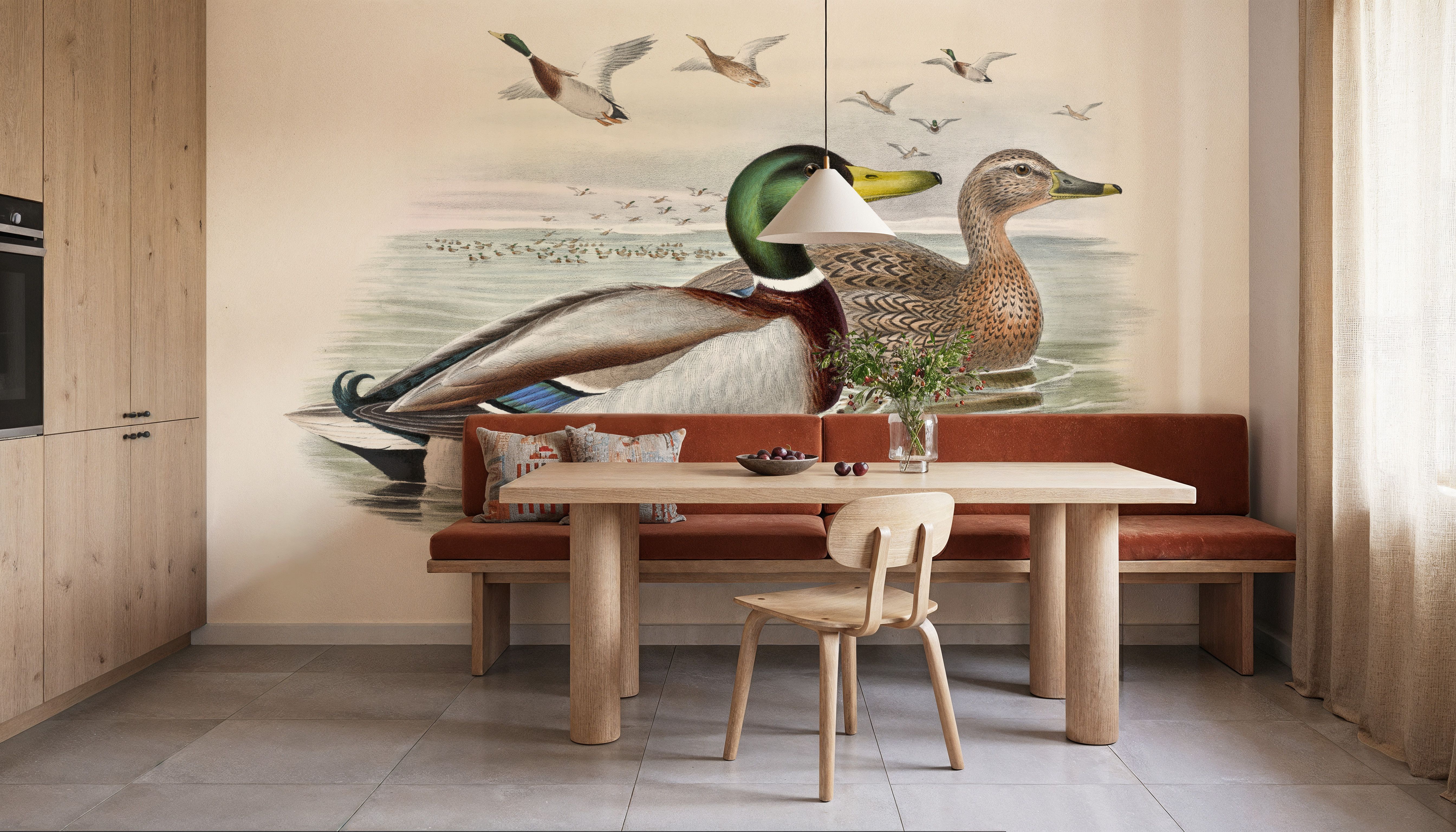 Mallard, Wallpaper