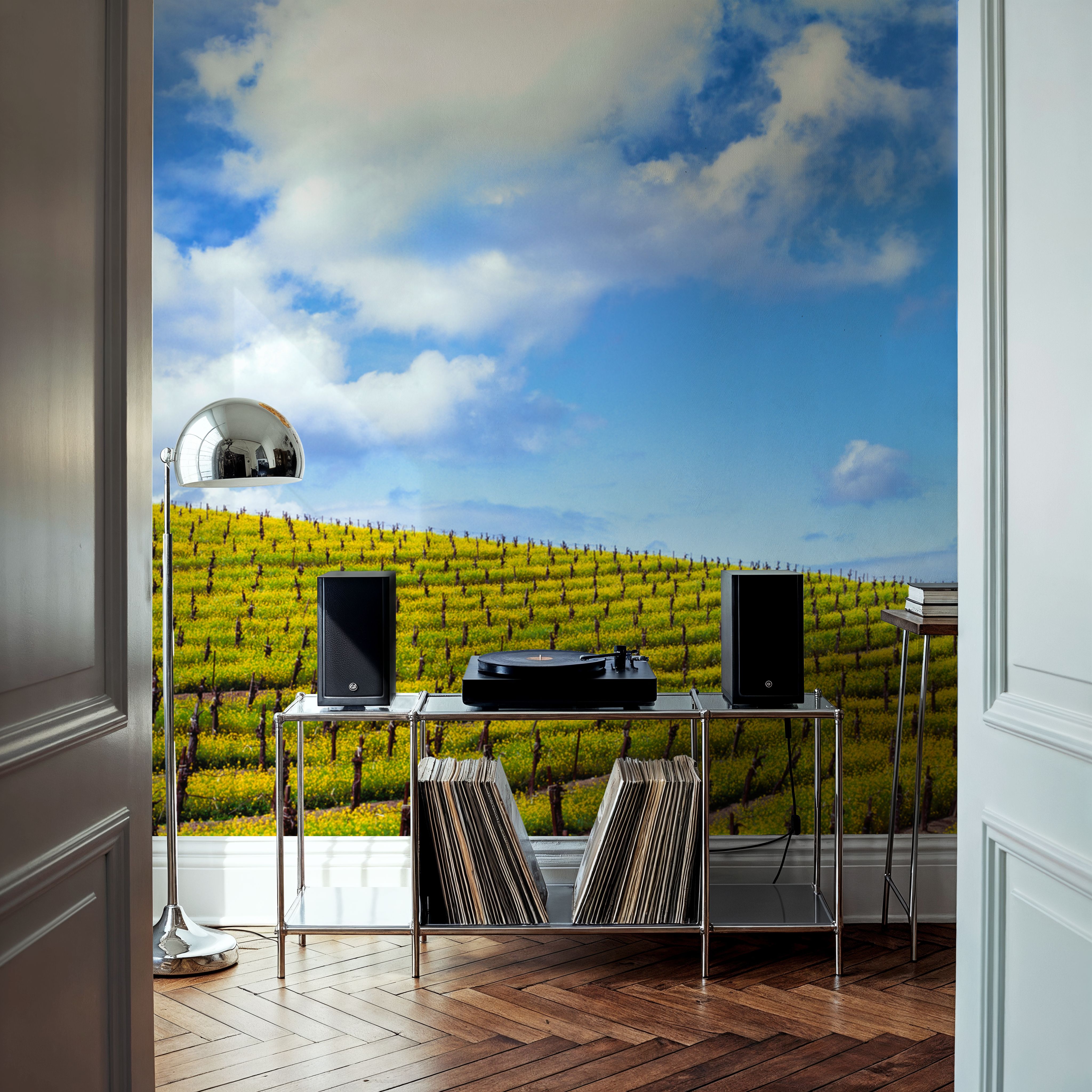 Mustard Fields Napa Valley