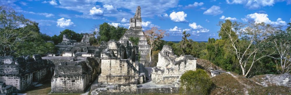 Ancient Temple Wilderness