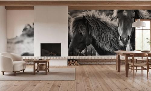Horses Three Black and White
