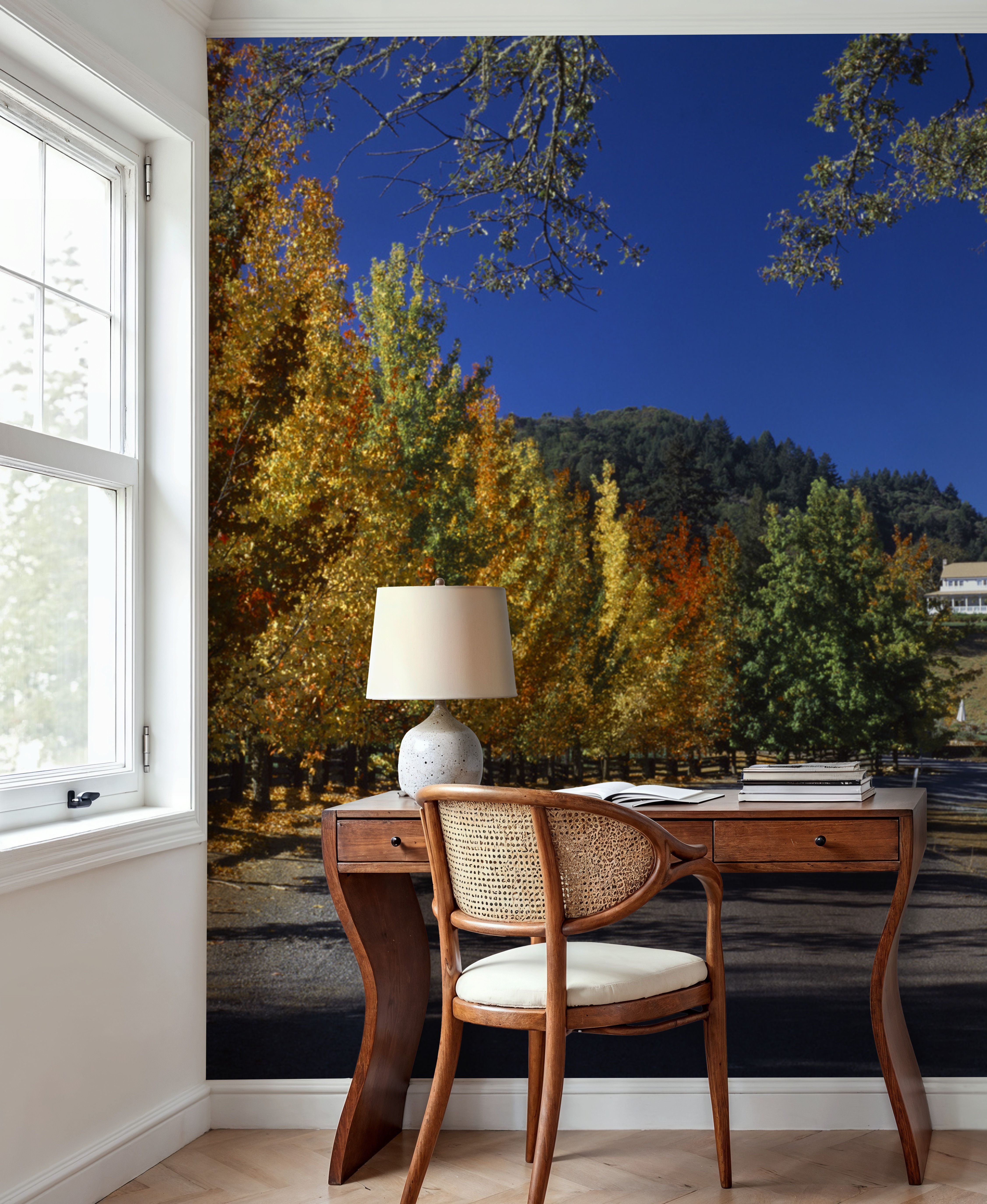 Autumn Vineyard Lane