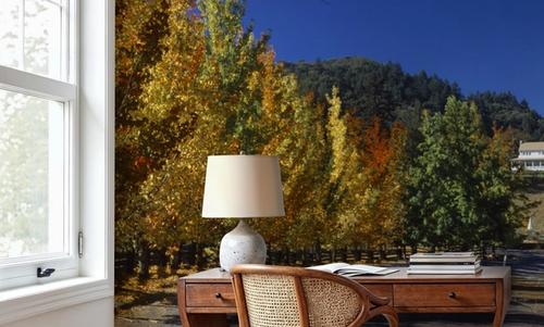 Autumn Vineyard Lane