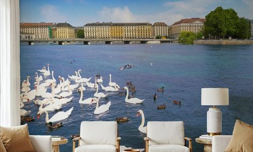 Riverside Swans