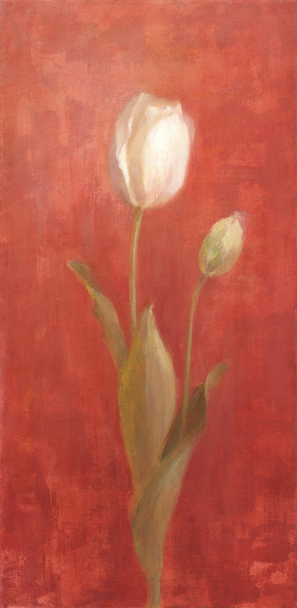 White Tulips on Red
