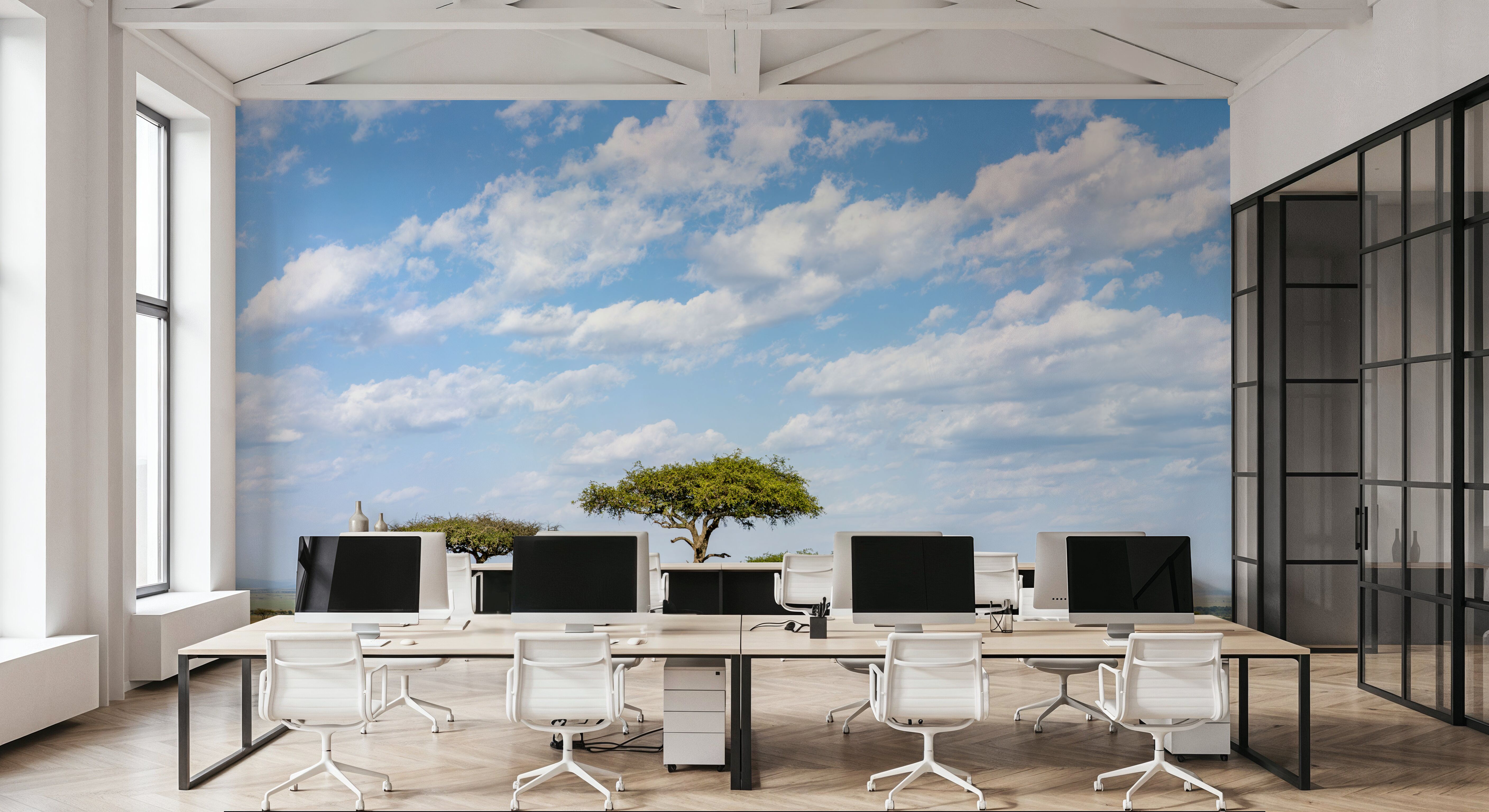 Acacia Trees, Wallpaper