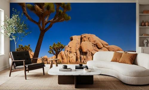 Joshua Tree