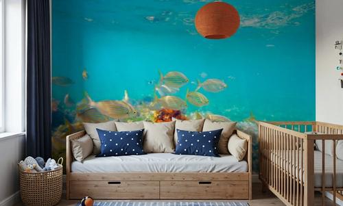 Salema Fish