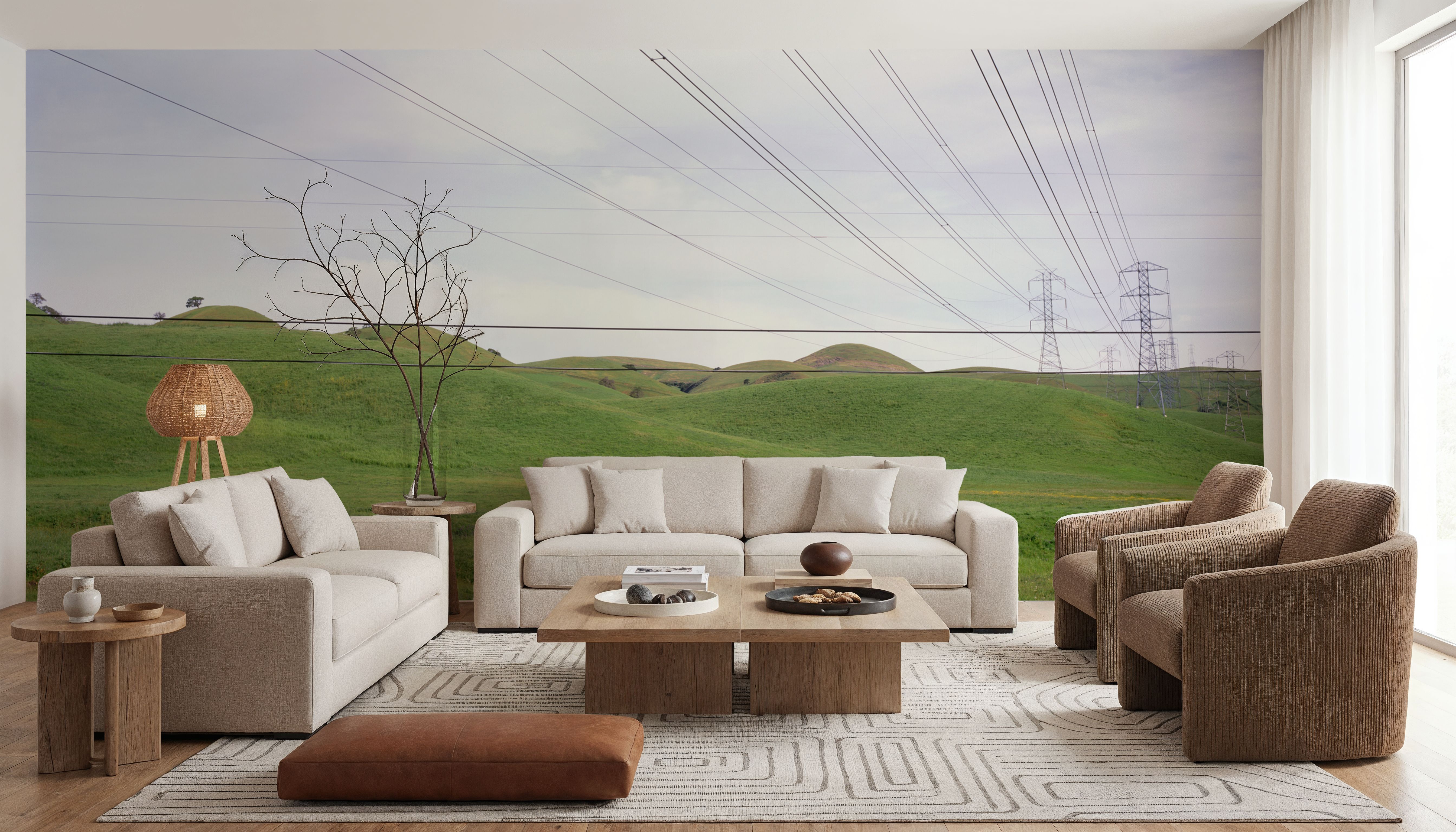 Power Line Landscape