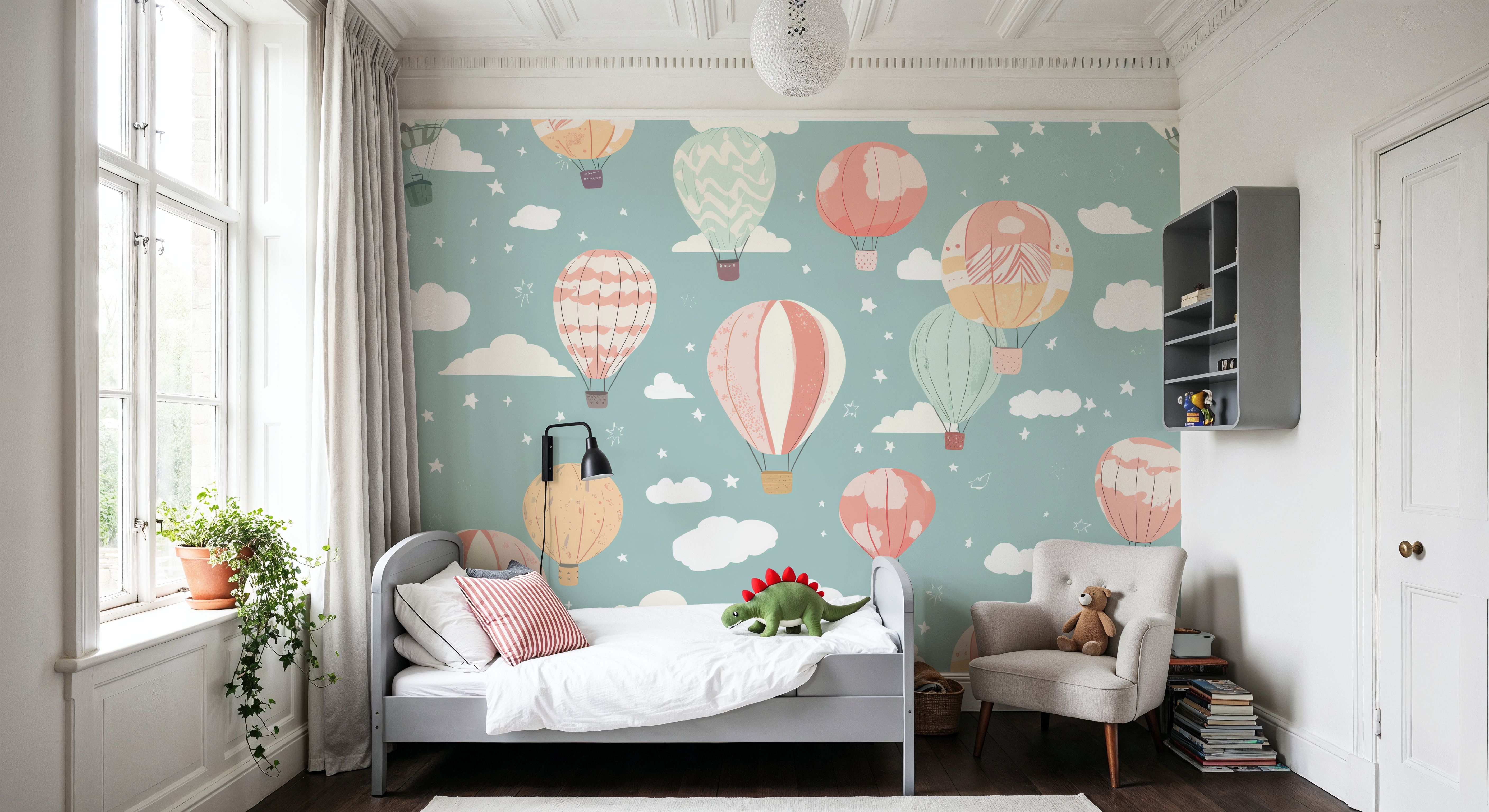 Hot Air Balloon Cloudy