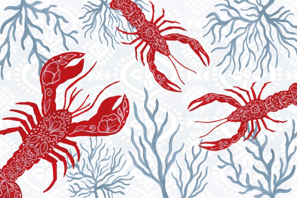 Delicate Coastline I