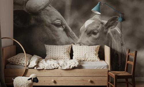Longhorn Pairing Sepia