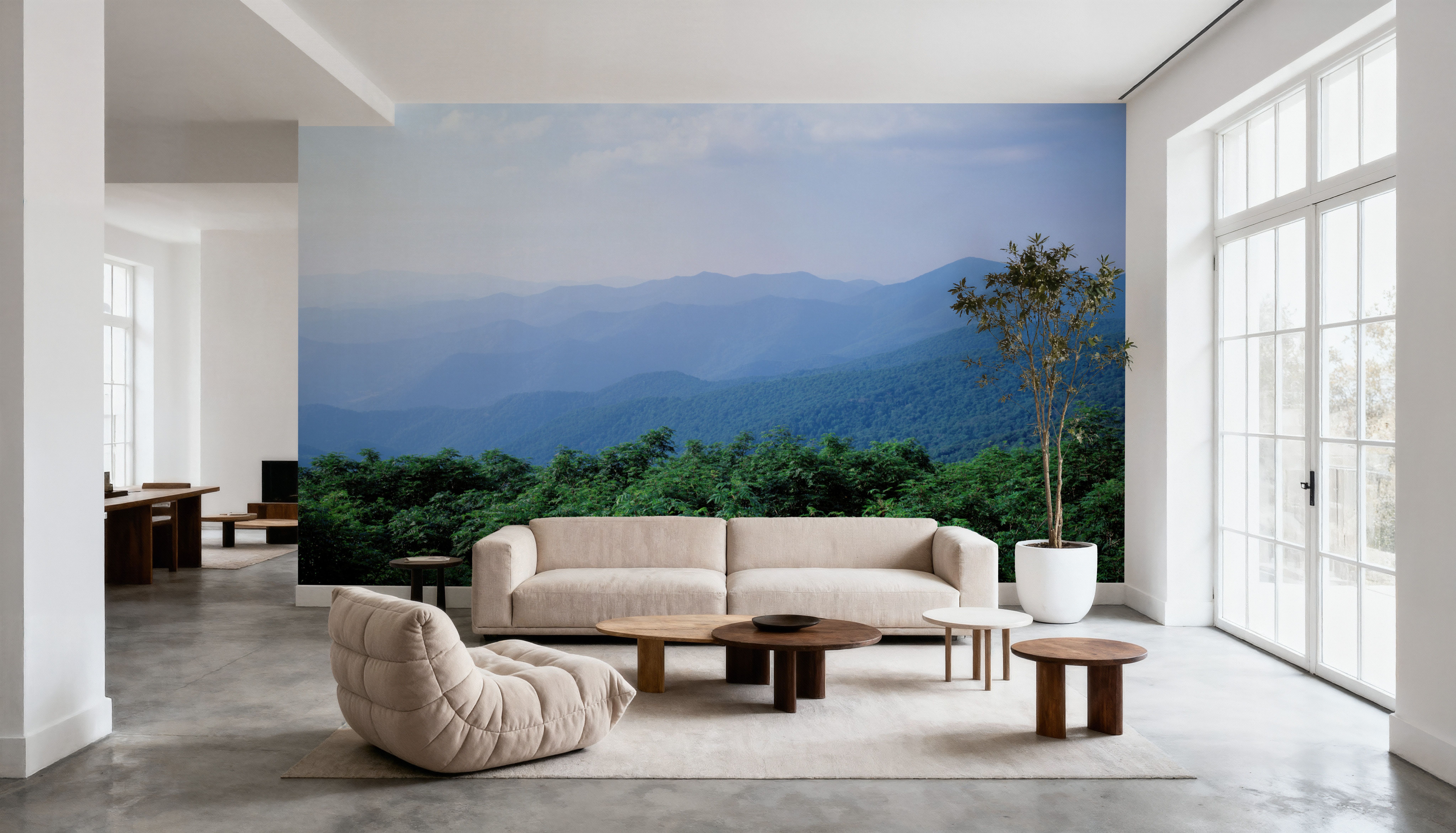 Blue Ridge Views
