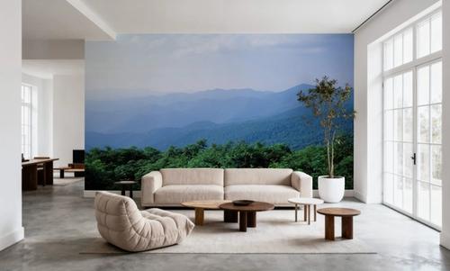 Blue Ridge Views