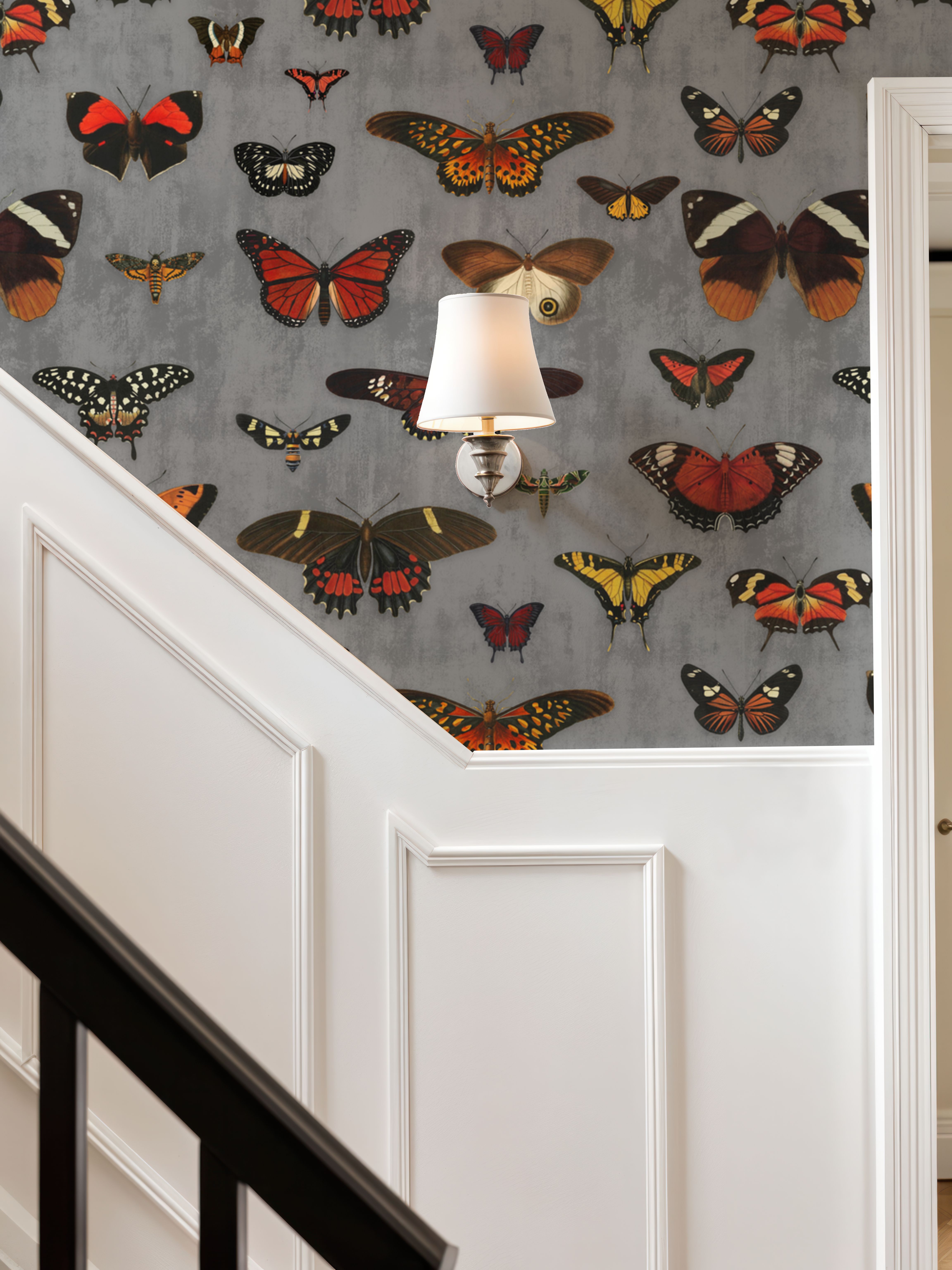 Butterfly Collection Gray