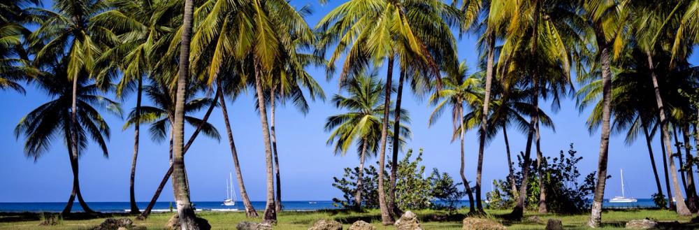 Sailing Through Paradise