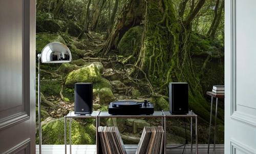 Moss Forest