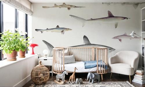 Sharks of the Pacific Ocean