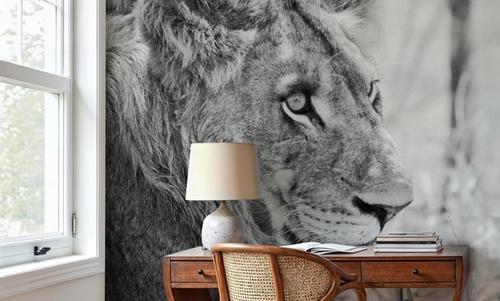 Young Lion BW