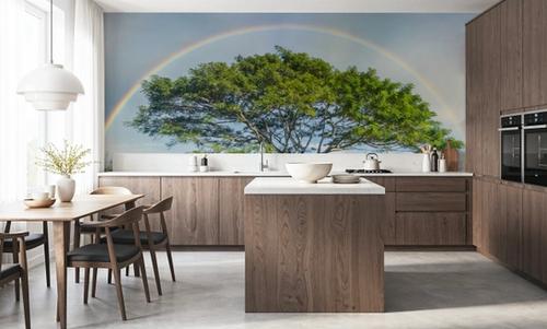 Acacia Rainbow