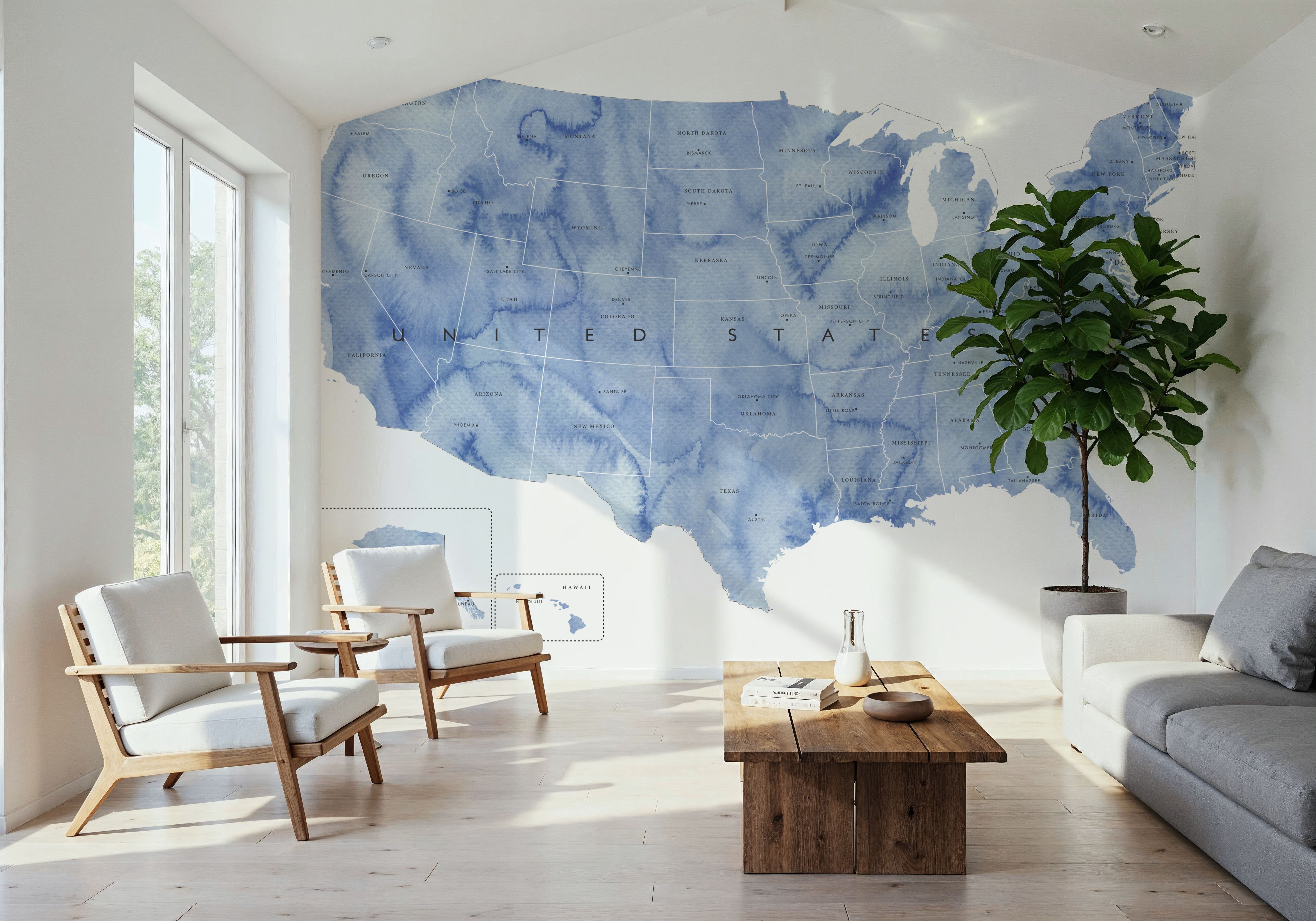 US State Map - Iria, Wallpaper