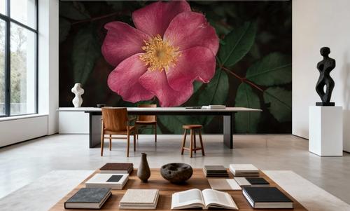 Wild Rose I