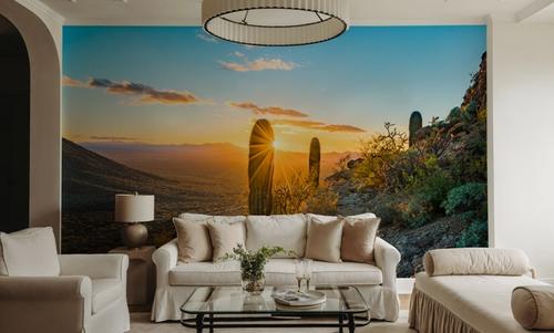 Saguaro Cacti
