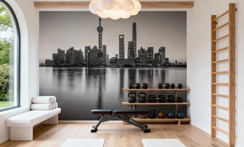 Pudong Sunrise BW