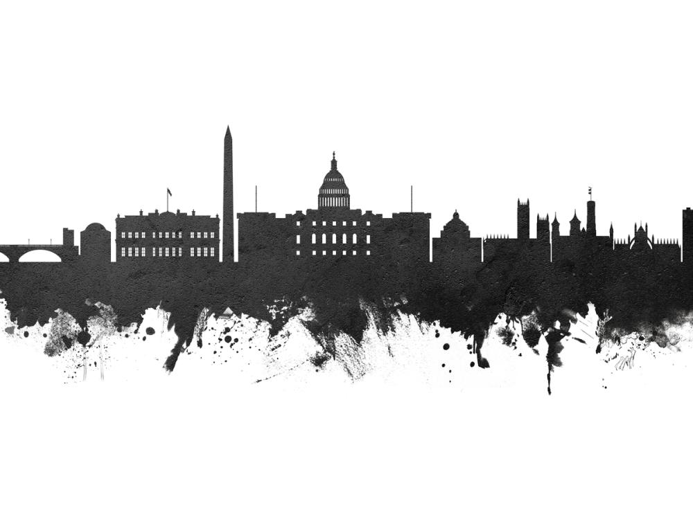 Washington DC Skyline Black & White