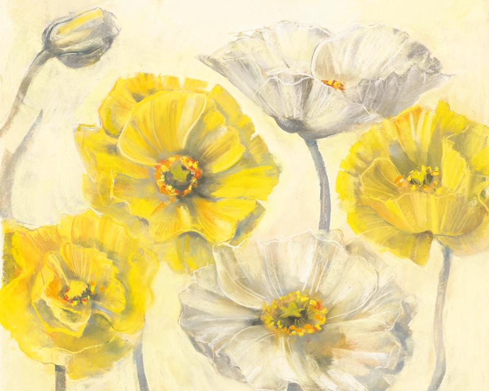 Comtemporary Poppies I